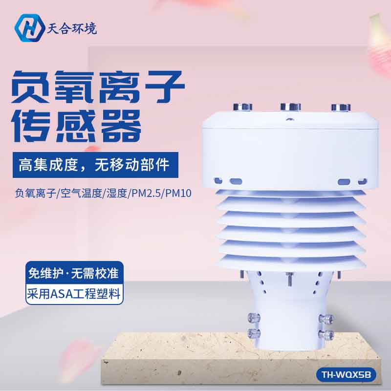 山東天合負(fù)氧離子傳感器簡介